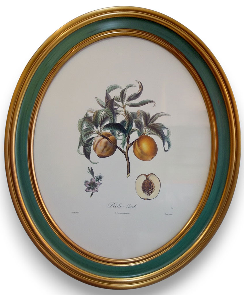 ø Néron Or plat vert foncé